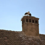 chimney flue blockage, fireplace draft, chimney draft