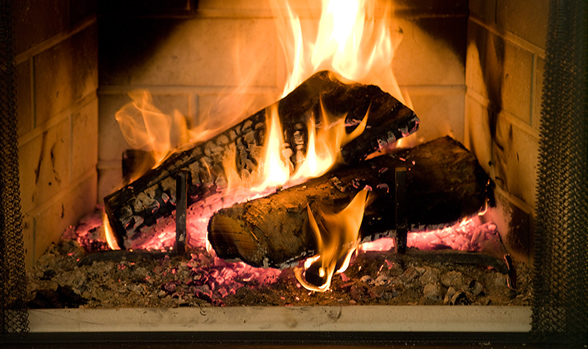 A Guide to Wood Burning